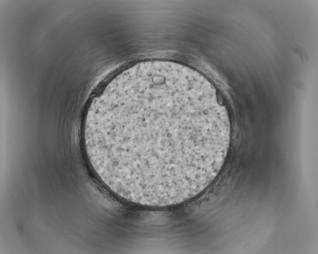 X0000111360107200908211305
