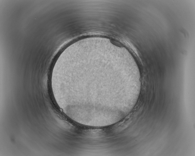 X0000111360108200908211305
