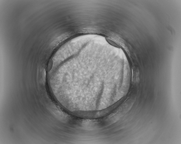 X0000111360109200908211305