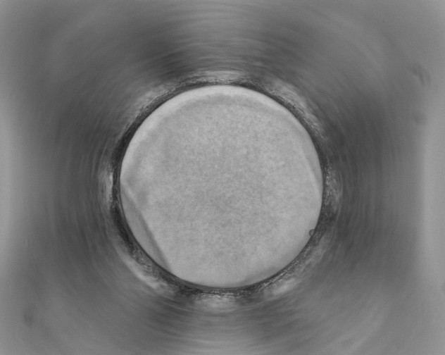 X0000111360110200908211305