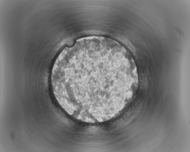 X0000111360111200908211305