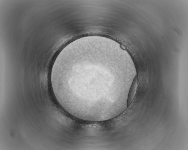 X0000111360112200908211305