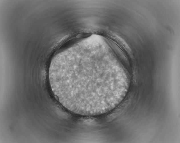 X0000111360113200908211305