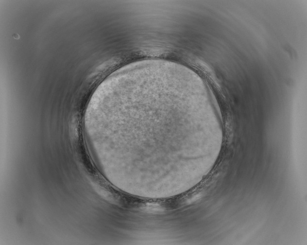 X0000111360114200908211305