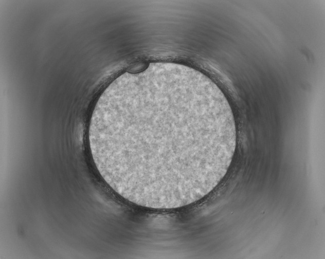 X0000111360115200908211305