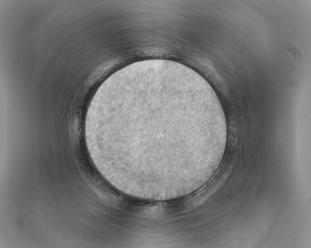 X0000111360116200908211305