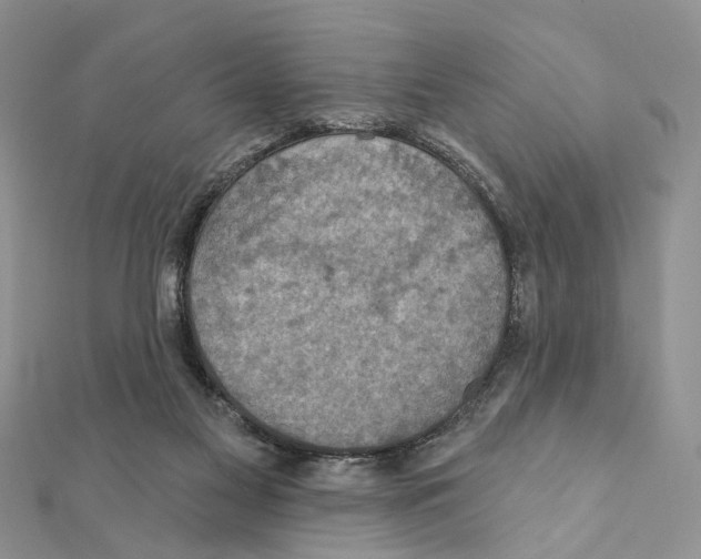 X0000111360117200908211305