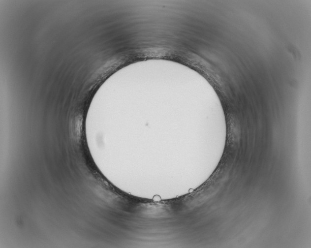 X0000111360118200908211305