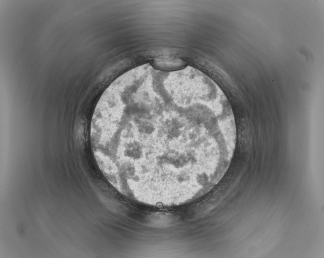 X0000111360119200908211305