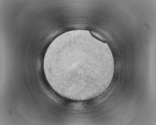 X0000111360120200908211305