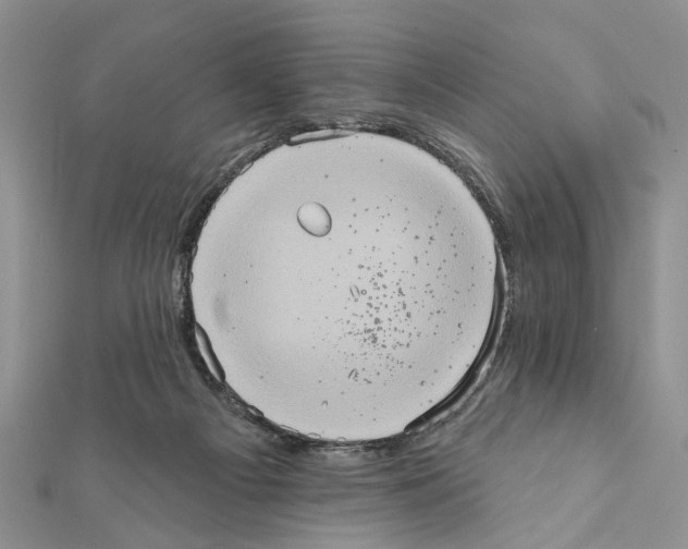 X0000111360121200908211305