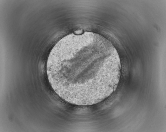 X0000111360123200908211305
