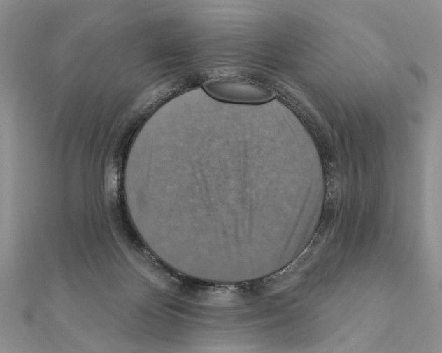 X0000111360124200908211305