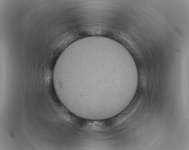 X0000111360125200908211305
