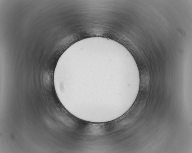 X0000111360126200908211305