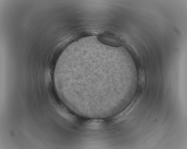 X0000111360128200908211305