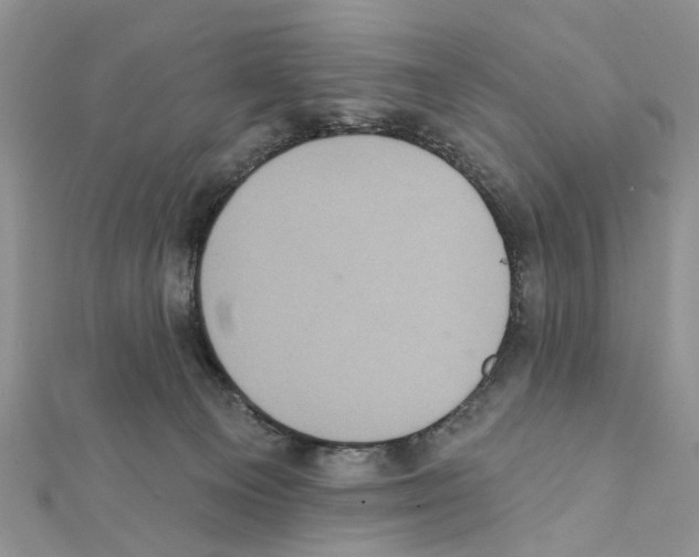 X0000111360129200908211305