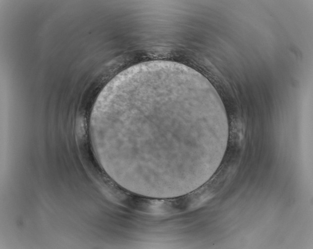 X0000111360130200908211305