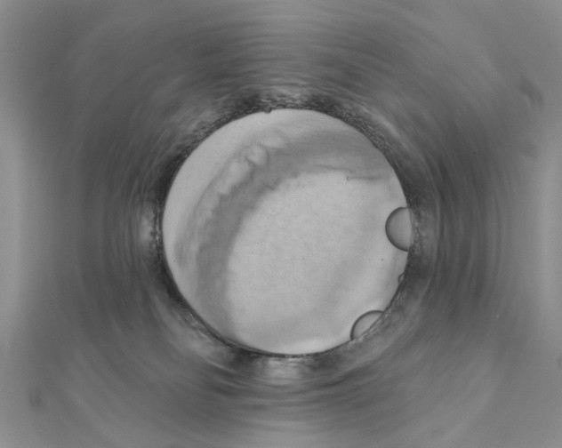 X0000111360134200908211305