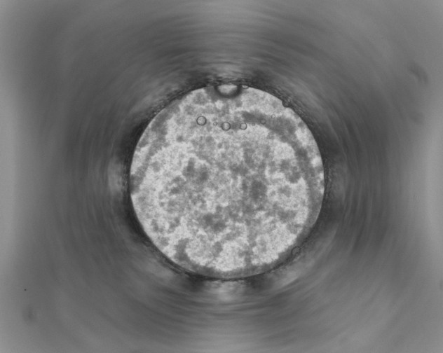 X0000111360135200908211305