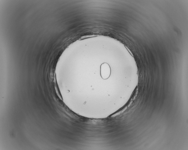 X0000111360137200908211305