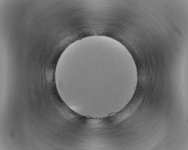 X0000111360139200908211305