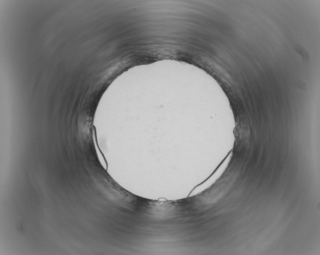 X0000111360141200908211305