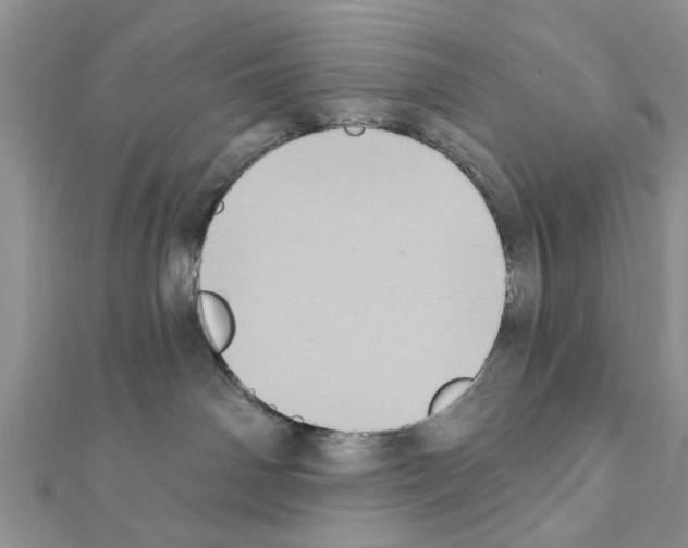 X0000111360142200908211304