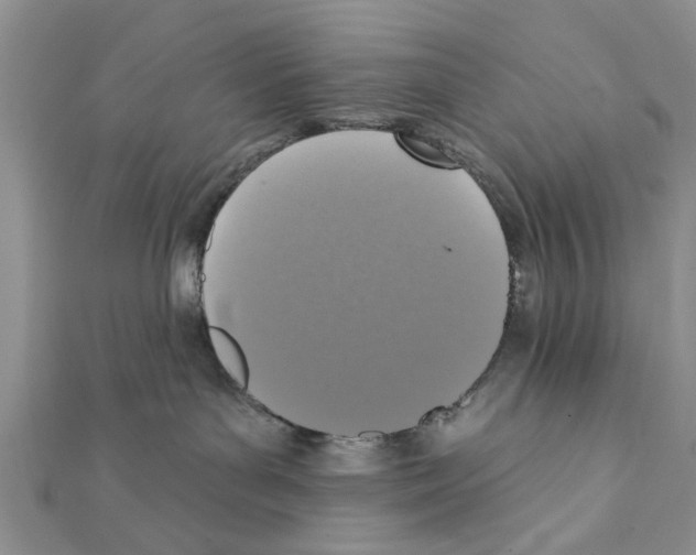 X0000111360143200908211304