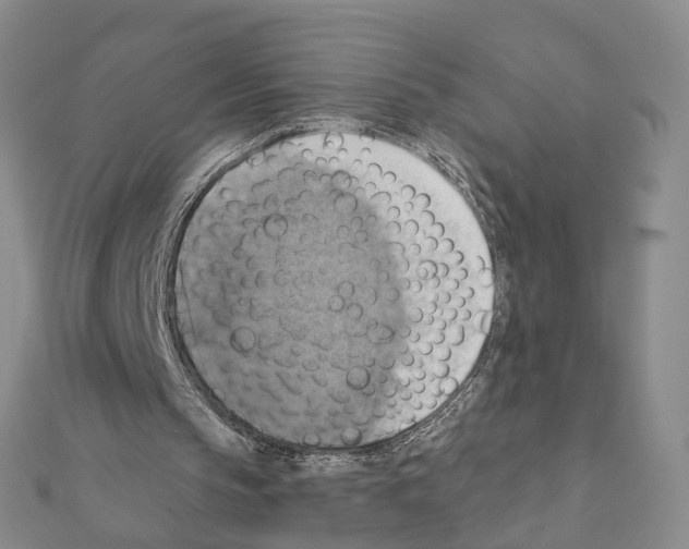 X0000111360145200908211304