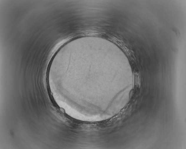 X0000111360147200908211304