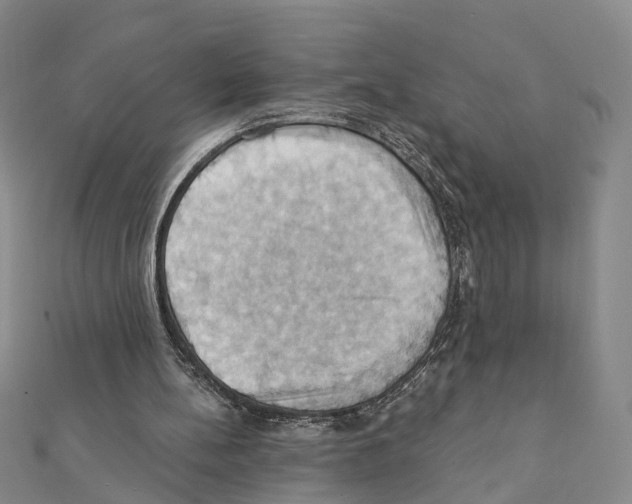 X0000111360148200908211304
