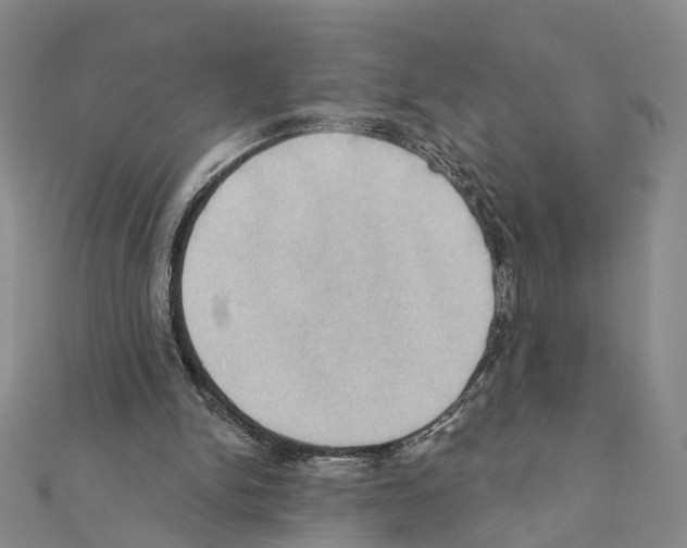 X0000111360150200908211304