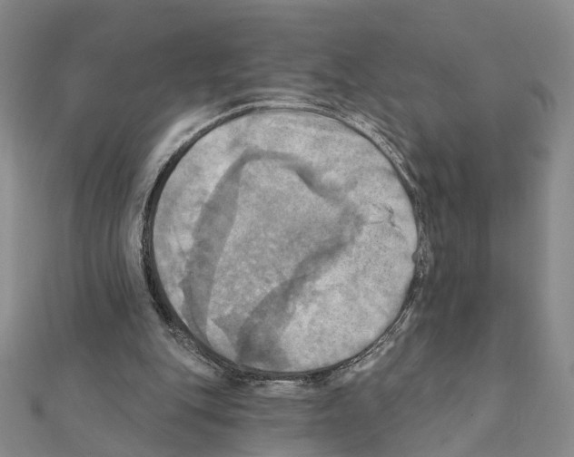 X0000111360151200908211304