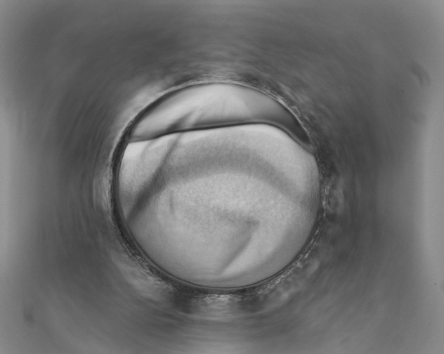 X0000111360152200908211304