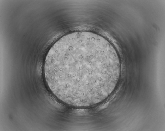 X0000111360153200908211304