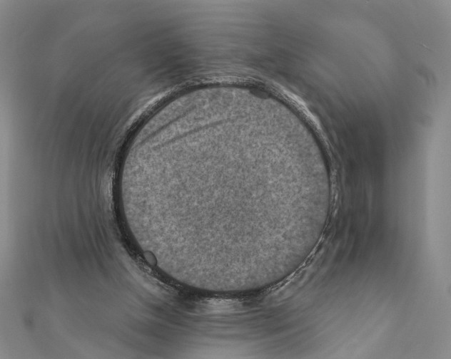 X0000111360154200908211304