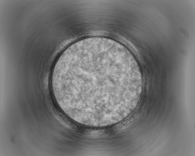 X0000111360155200908211304