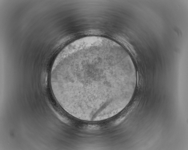 X0000111360157200908211304