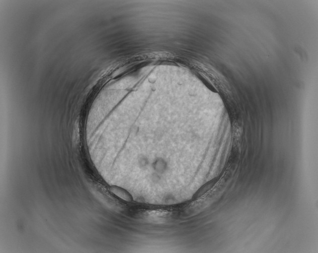 X0000111360158200908211304