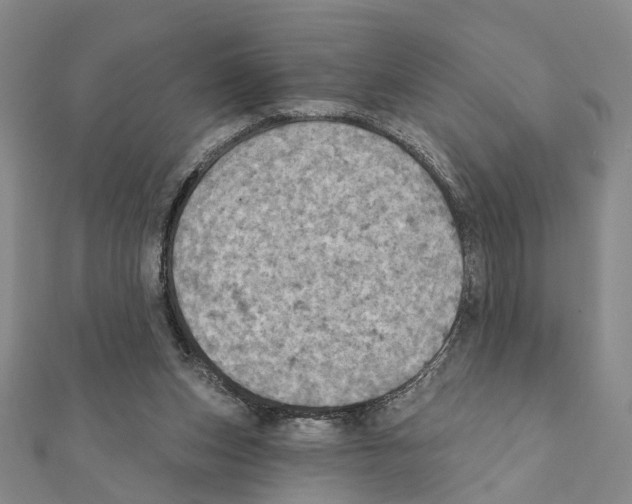 X0000111360159200908211304