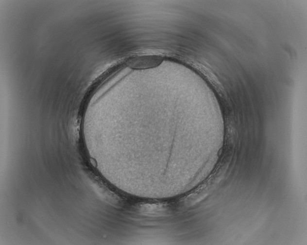 X0000111360160200908211304