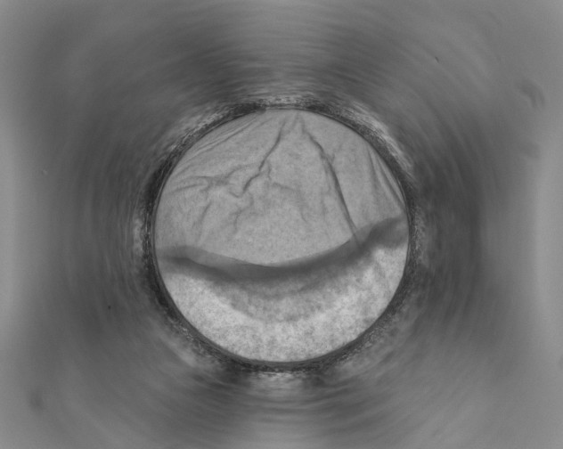 X0000111360161200908211304