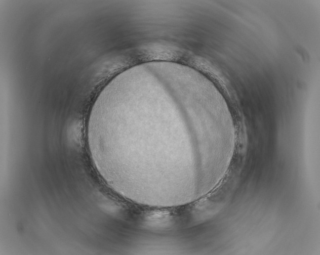 X0000111360162200908211304