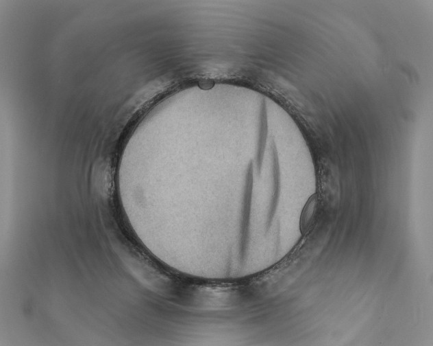X0000111360164200908211304
