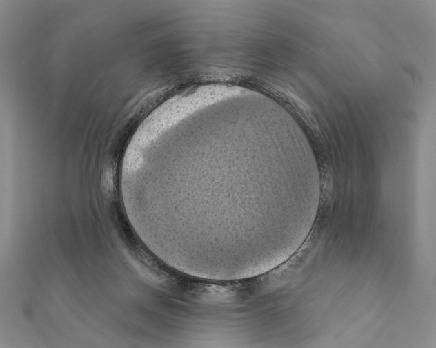 X0000111360166200908211304