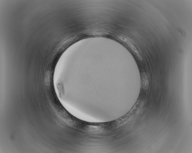 X0000111360167200908211304