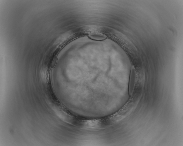 X0000111360168200908211304