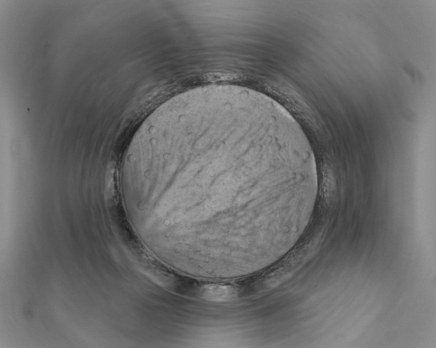 X0000111360169200908211304
