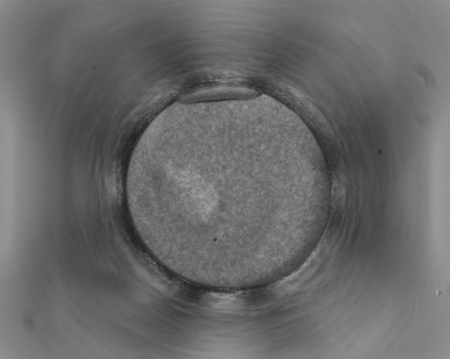 X0000111360170200908211304
